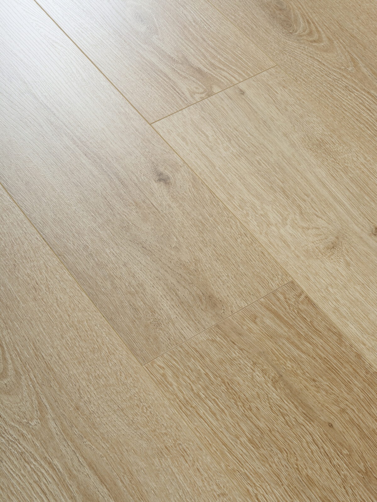 Desert Oak