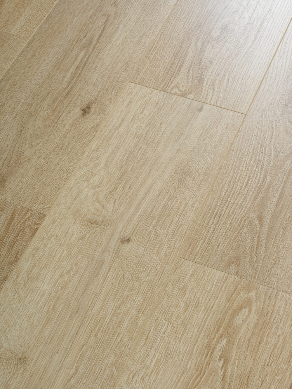 Desert Oak - Image 2