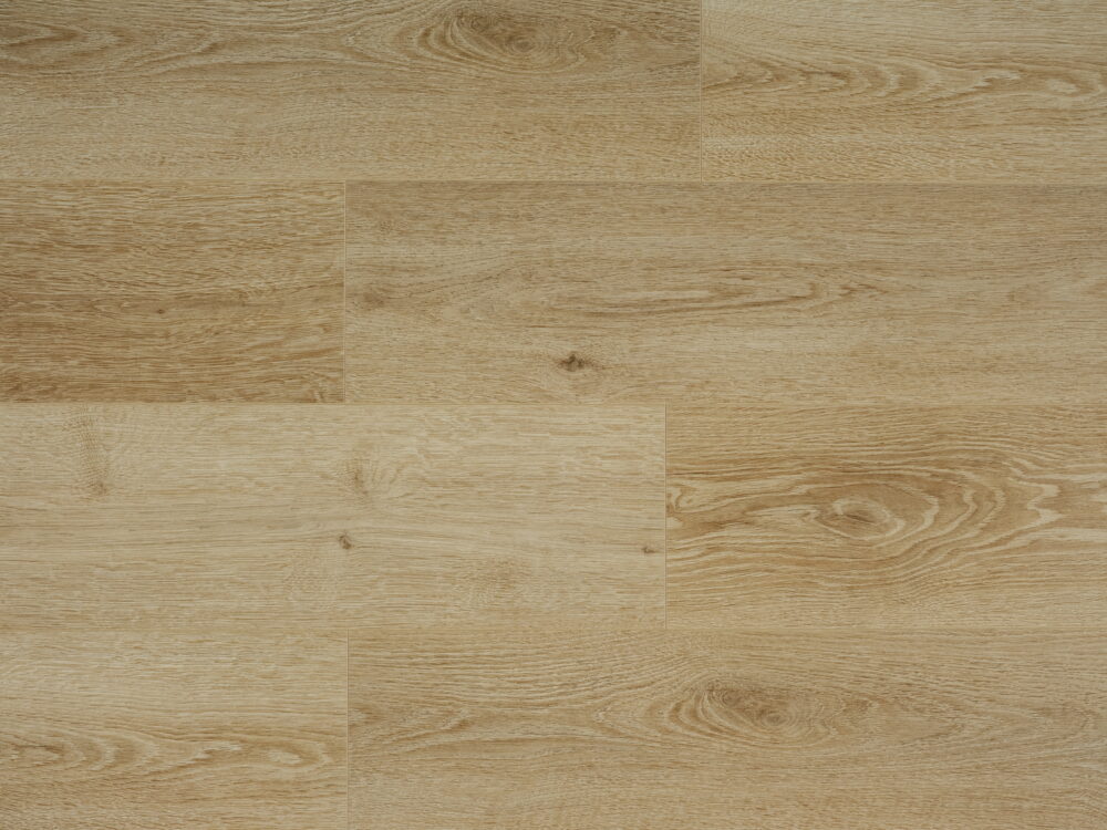 Desert Oak - Image 5