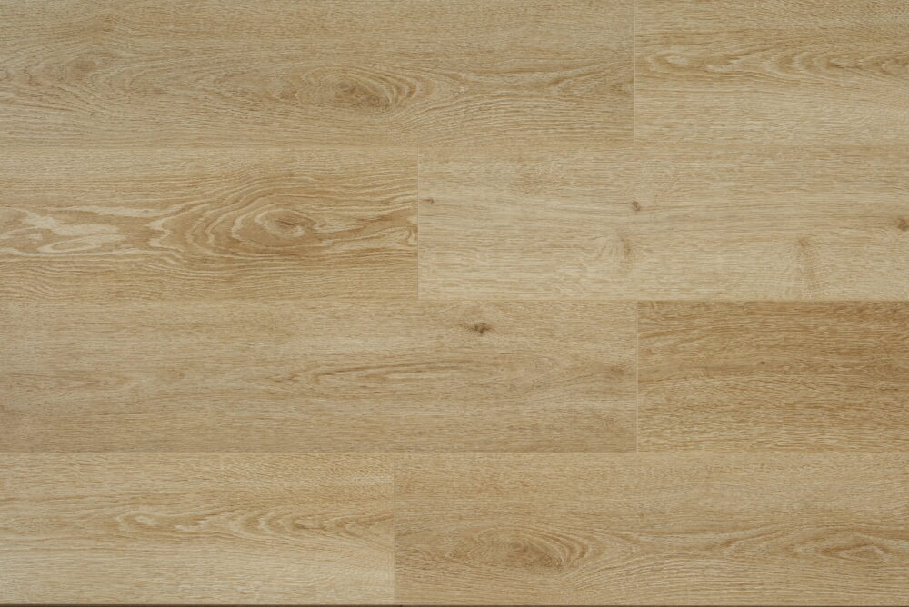 Desert Oak - Image 4