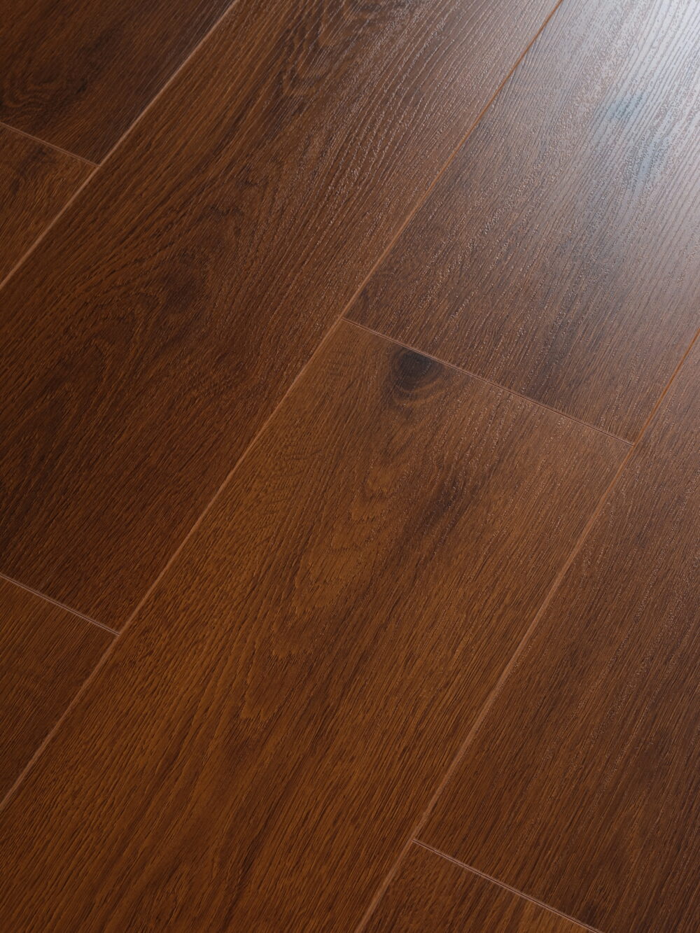 Jarrah - Image 2