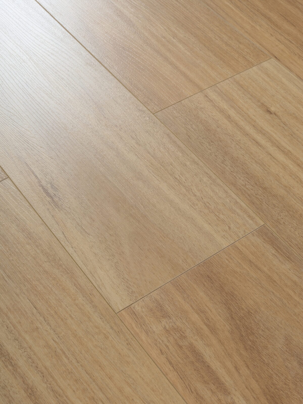 NSW Spotted Gum