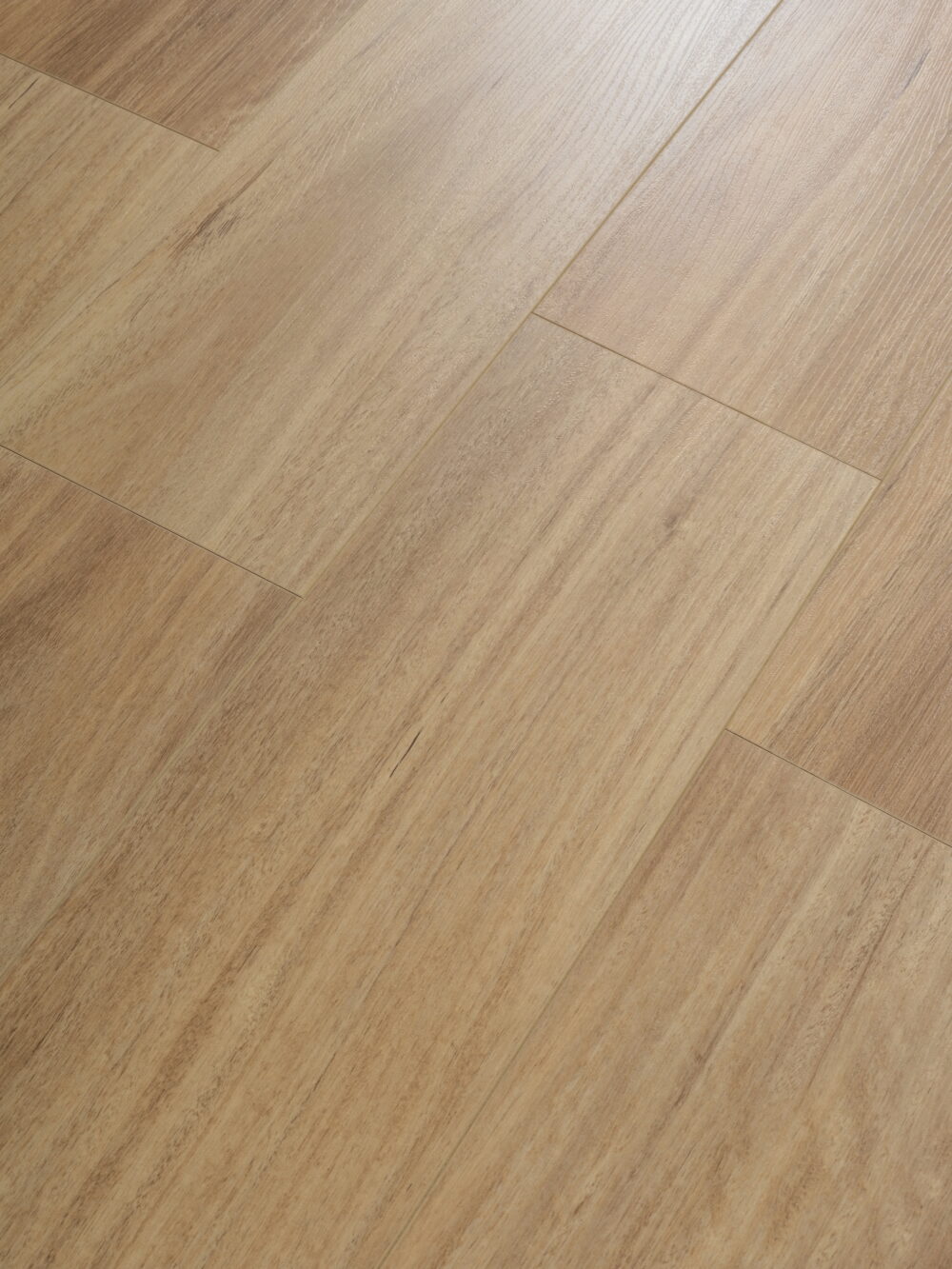 NSW Spotted Gum - Image 2