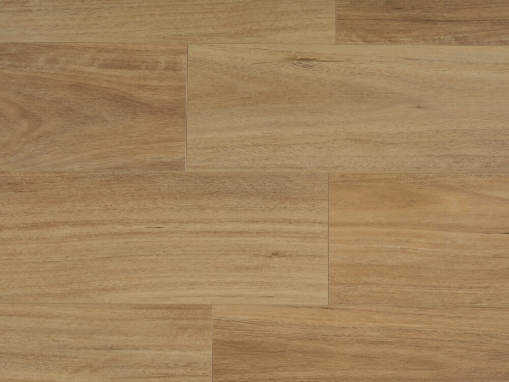 NSW Spotted Gum - Image 5