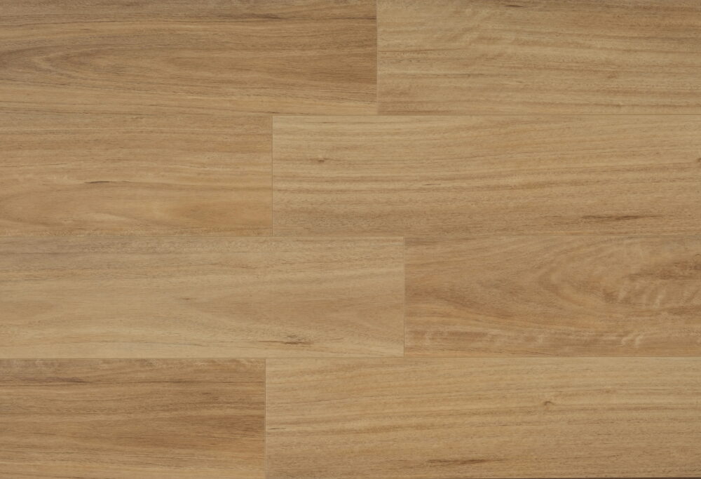NSW Spotted Gum - Image 4