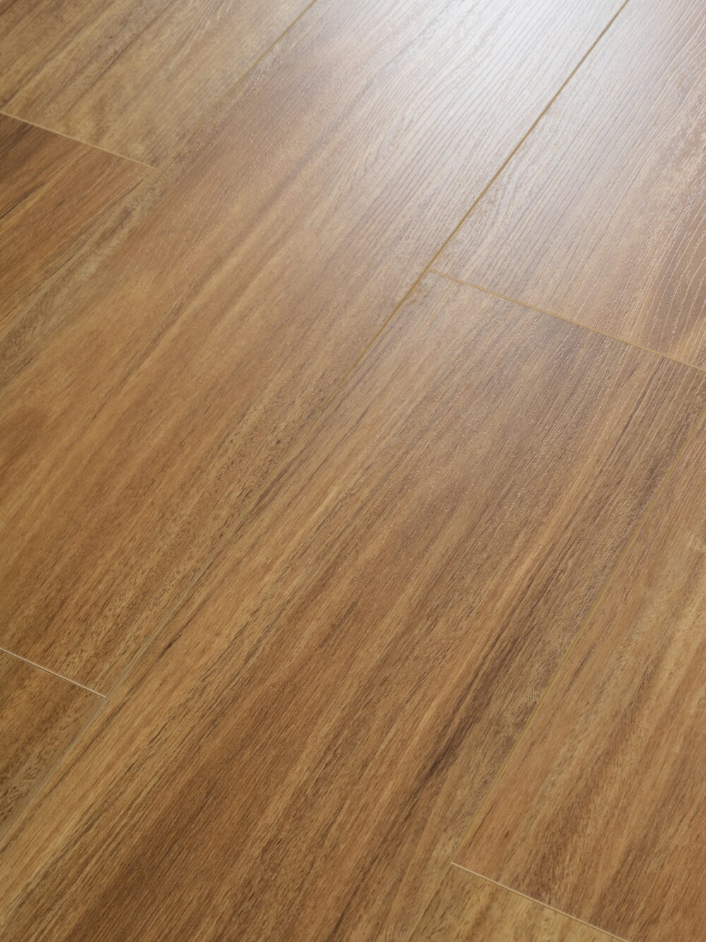 Qld Spotted Gum - Image 2
