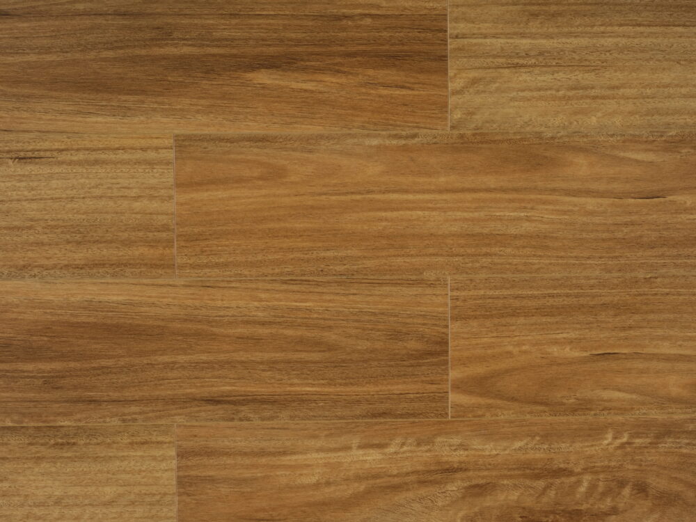 Qld Spotted Gum - Image 5