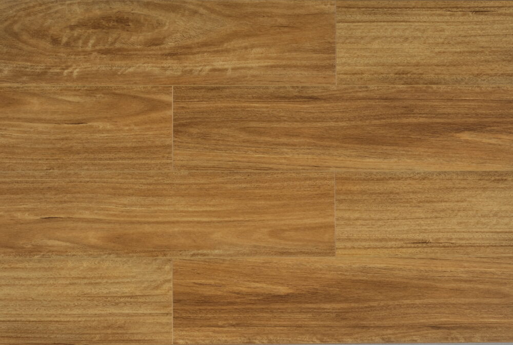 Qld Spotted Gum - Image 4