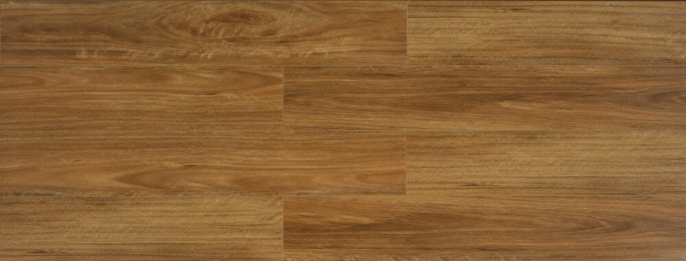 Qld Spotted Gum - Image 3