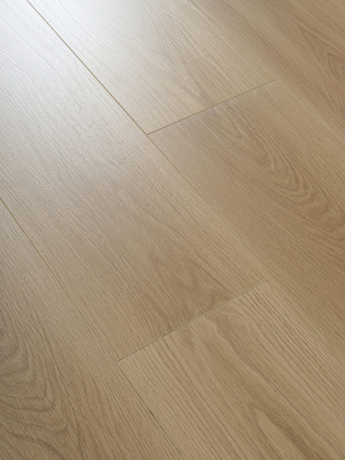 Roman Grey