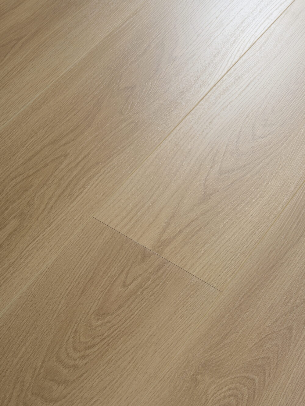 Roman Grey - Image 2