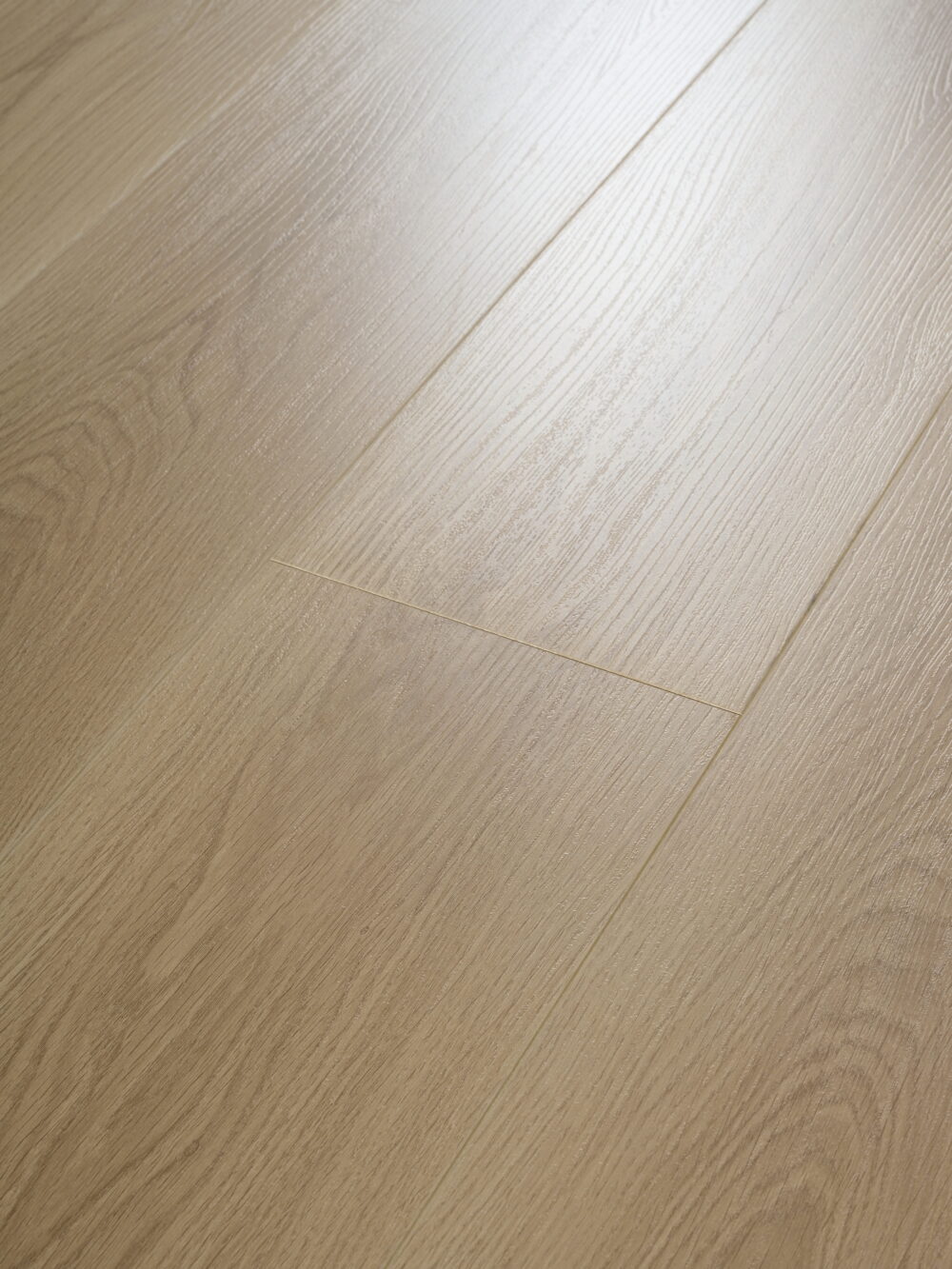 Roman Grey - Image 7
