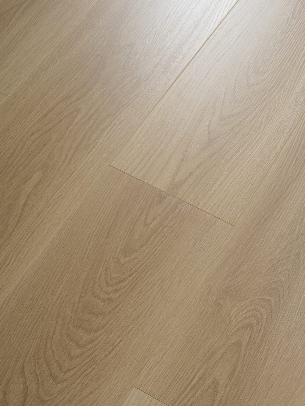 Roman Grey - Image 6