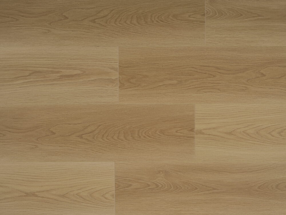 Roman Grey - Image 5
