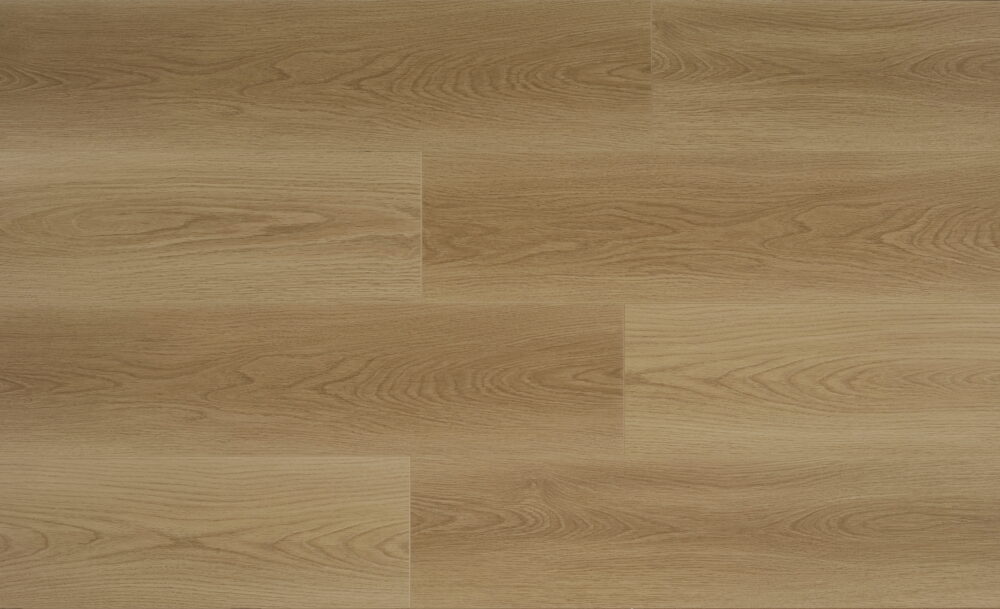 Roman Grey - Image 4