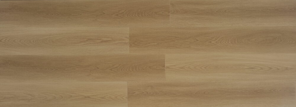 Roman Grey - Image 3