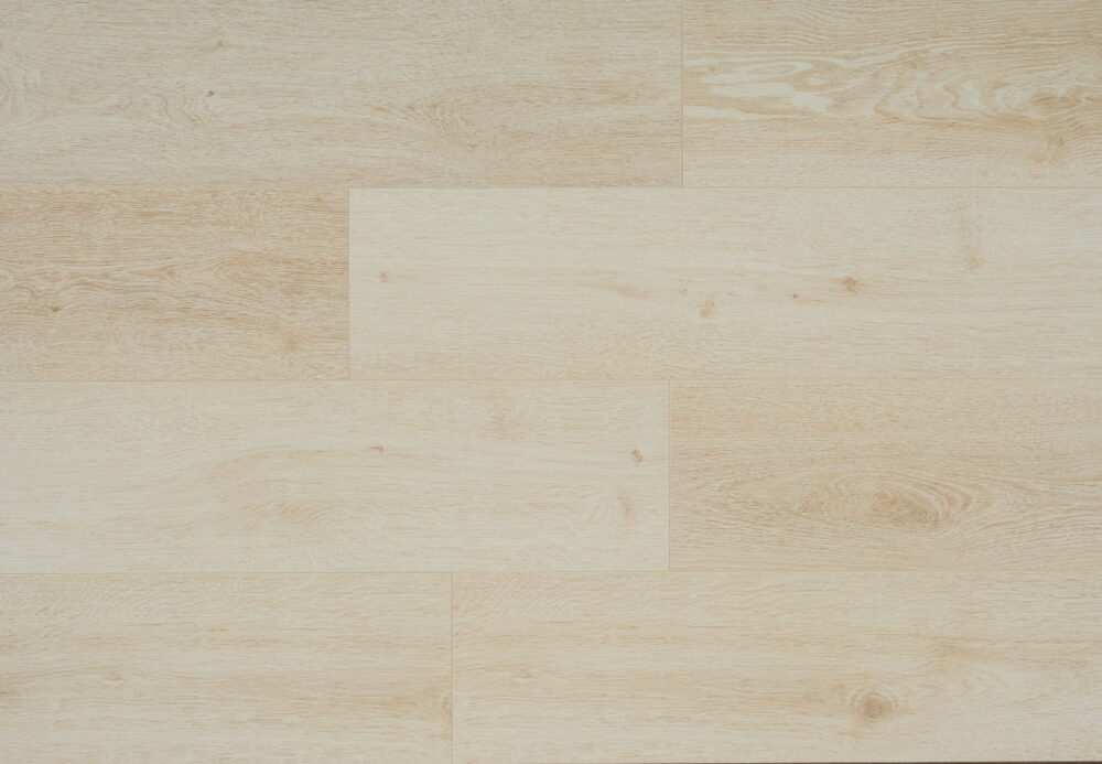 Sea Sand - Image 4