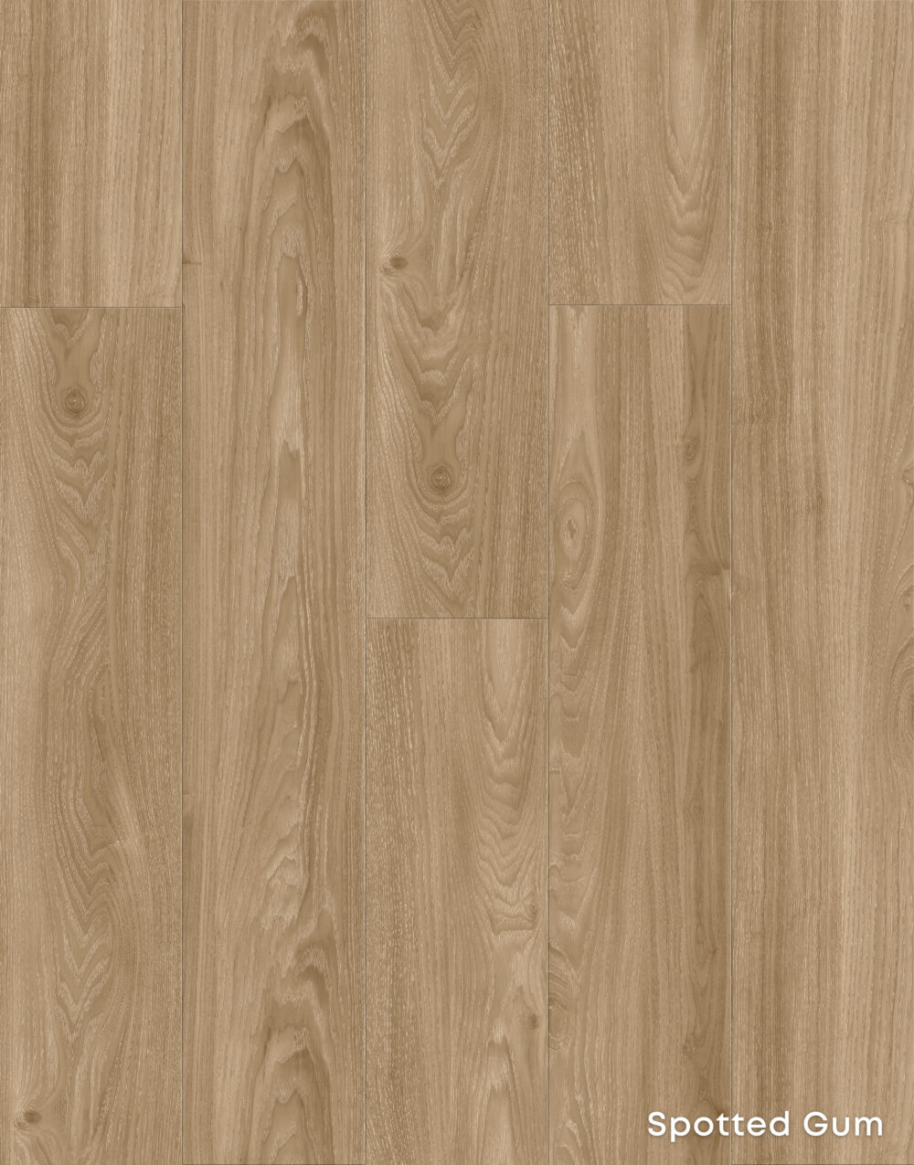 Spotted Gum 7mm - Image 2