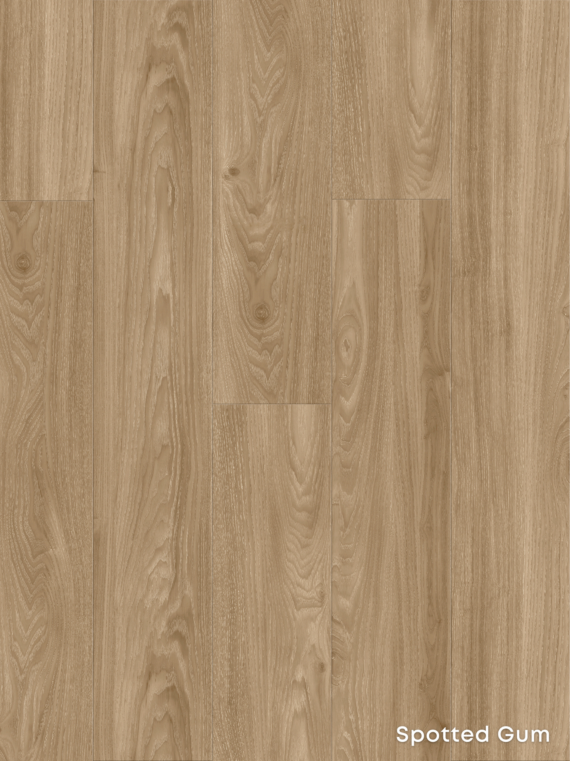 Spotted Gum 7mm